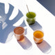 7 Day Fasting Program